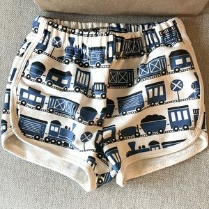 Winter Water Factory Trains Shorts- blue terry